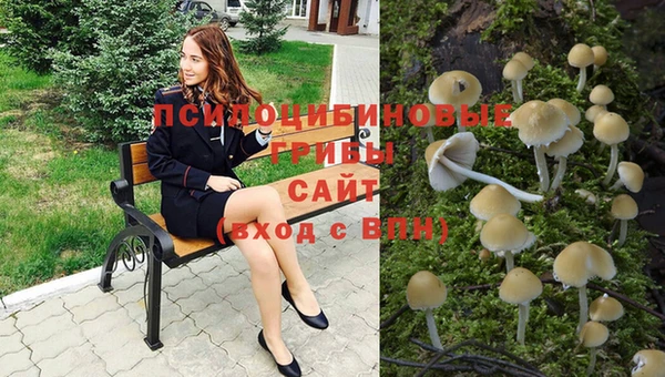 спиды Пересвет