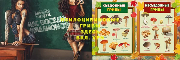 mdpv Алексин