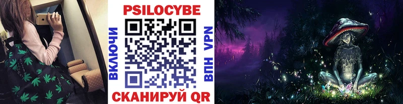 Псилоцибиновые грибы Magic Shrooms  Моздок 