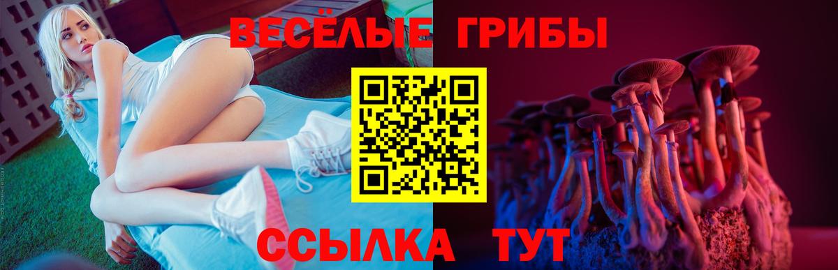 Псилоцибиновые грибы мицелий  Вход с VPN  Моздок 